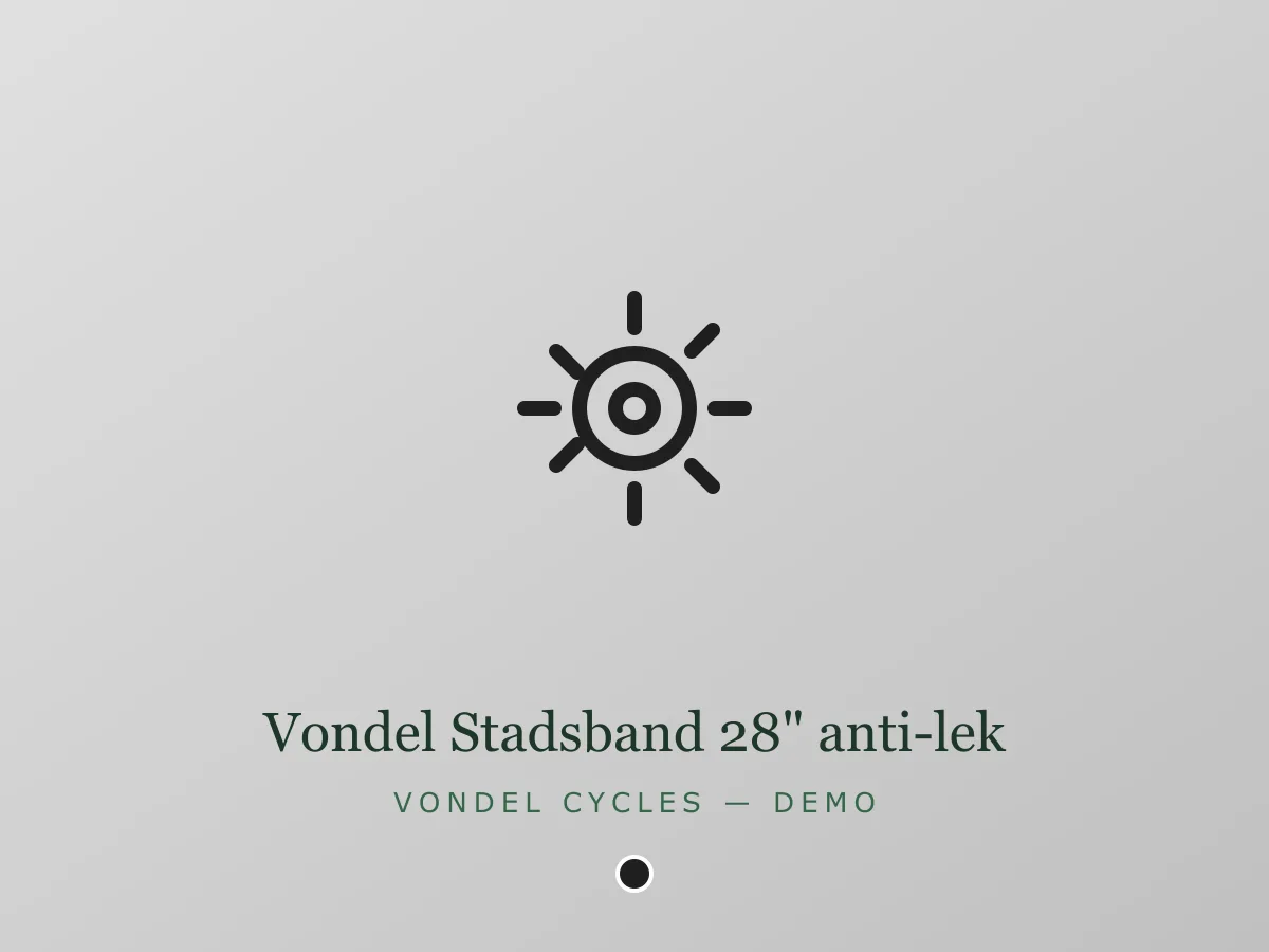 Vondel Stadsband 28" anti-lek