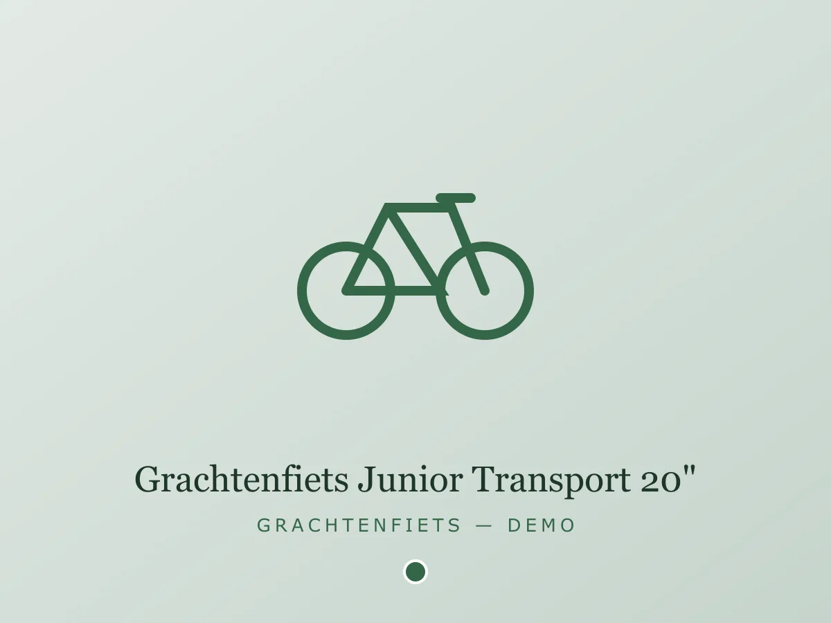 Grachtenfiets Junior Transport 20" - groen