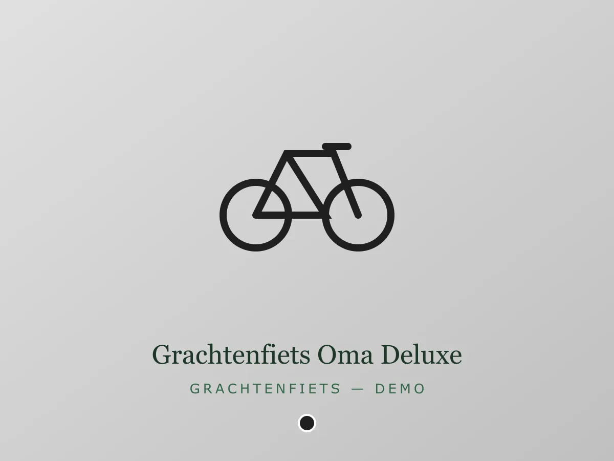 Grachtenfiets Oma Deluxe - zwart