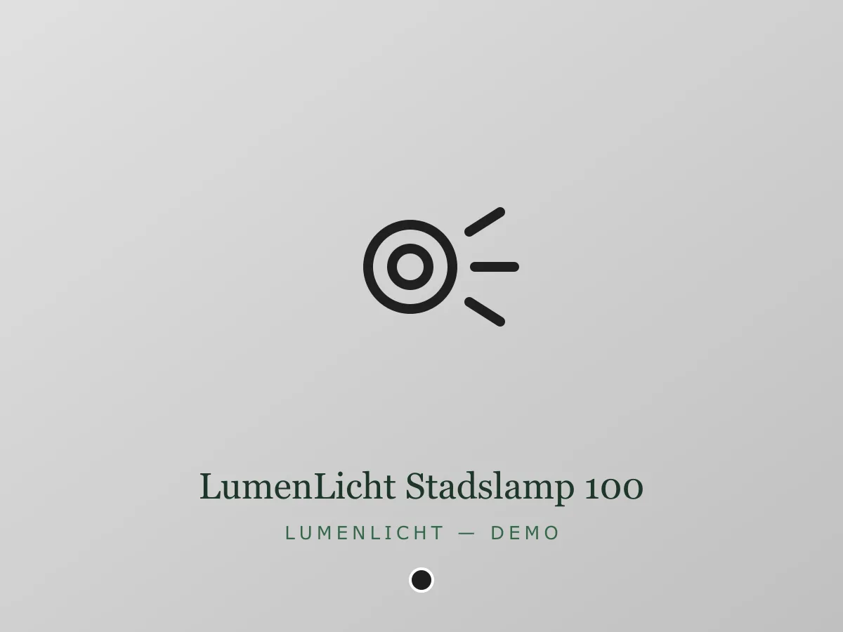 LumenLicht Stadslamp 100 - zwart