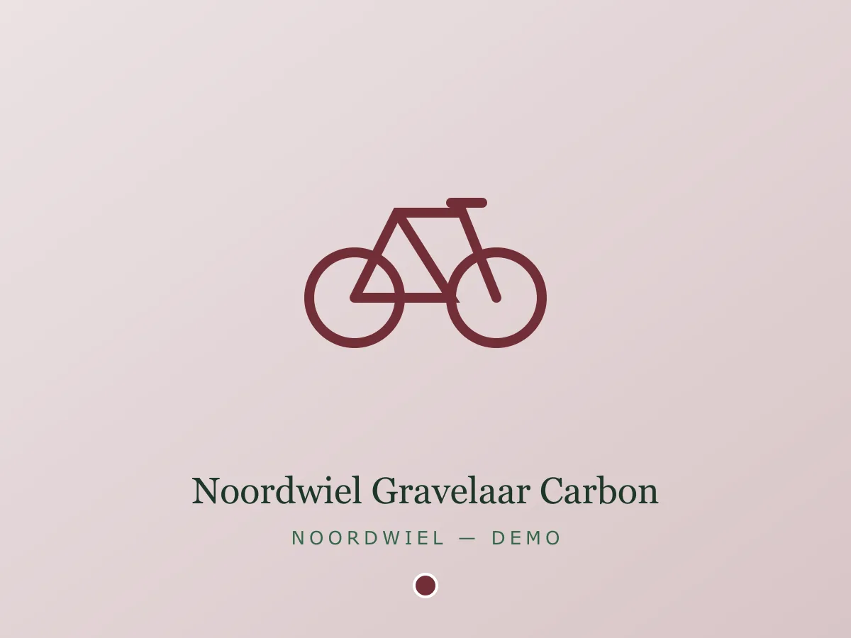 Noordwiel Gravelaar Carbon