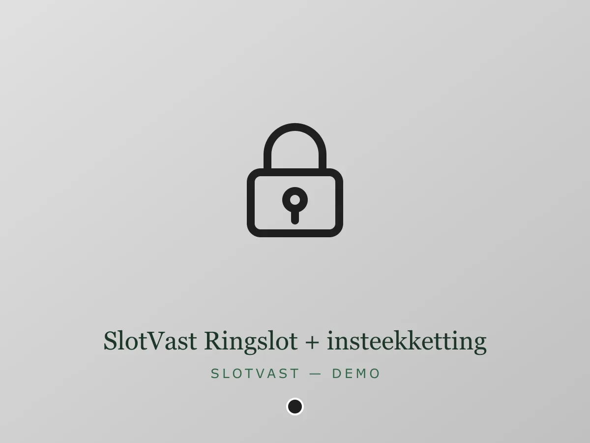 SlotVast Ringslot + insteekketting
