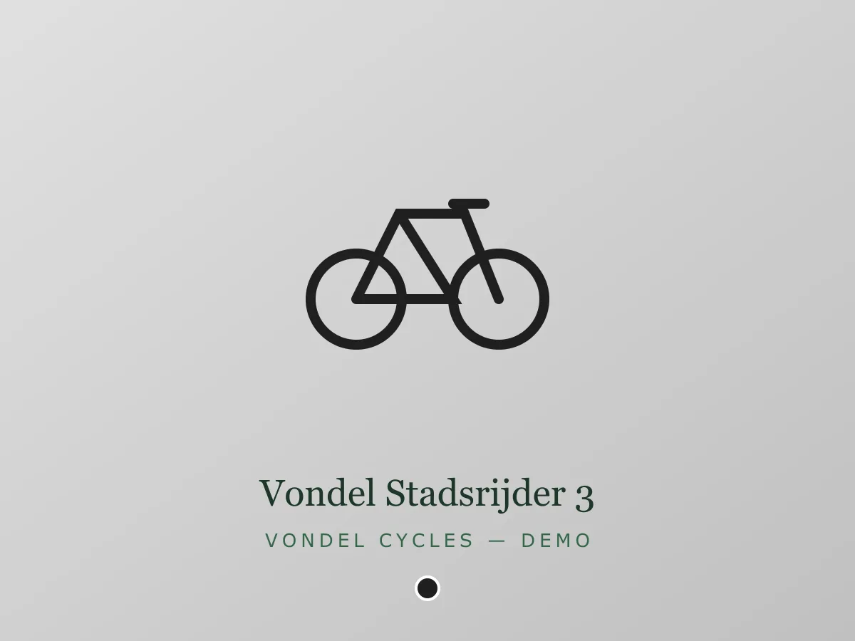 Vondel Stadsrijder 3 - zwart