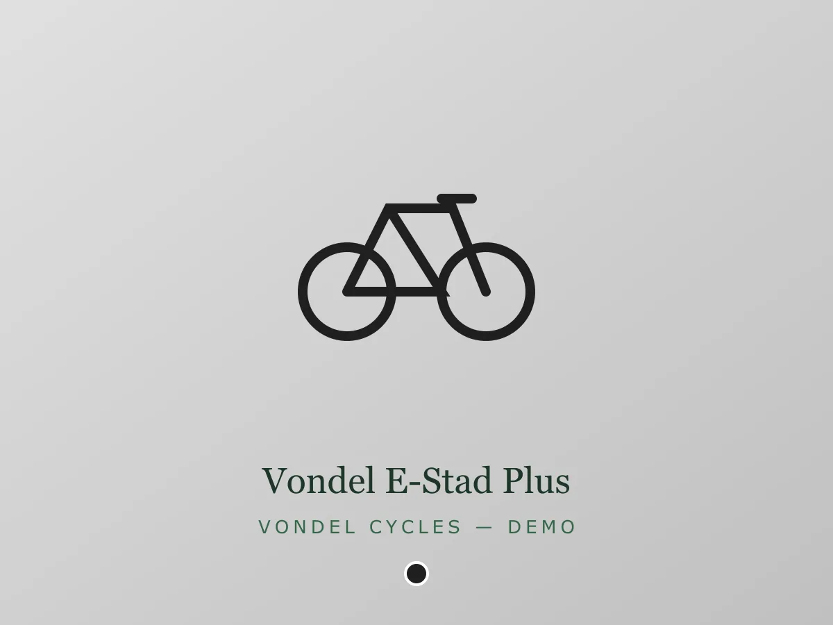 Vondel E-Stad Plus - zwart