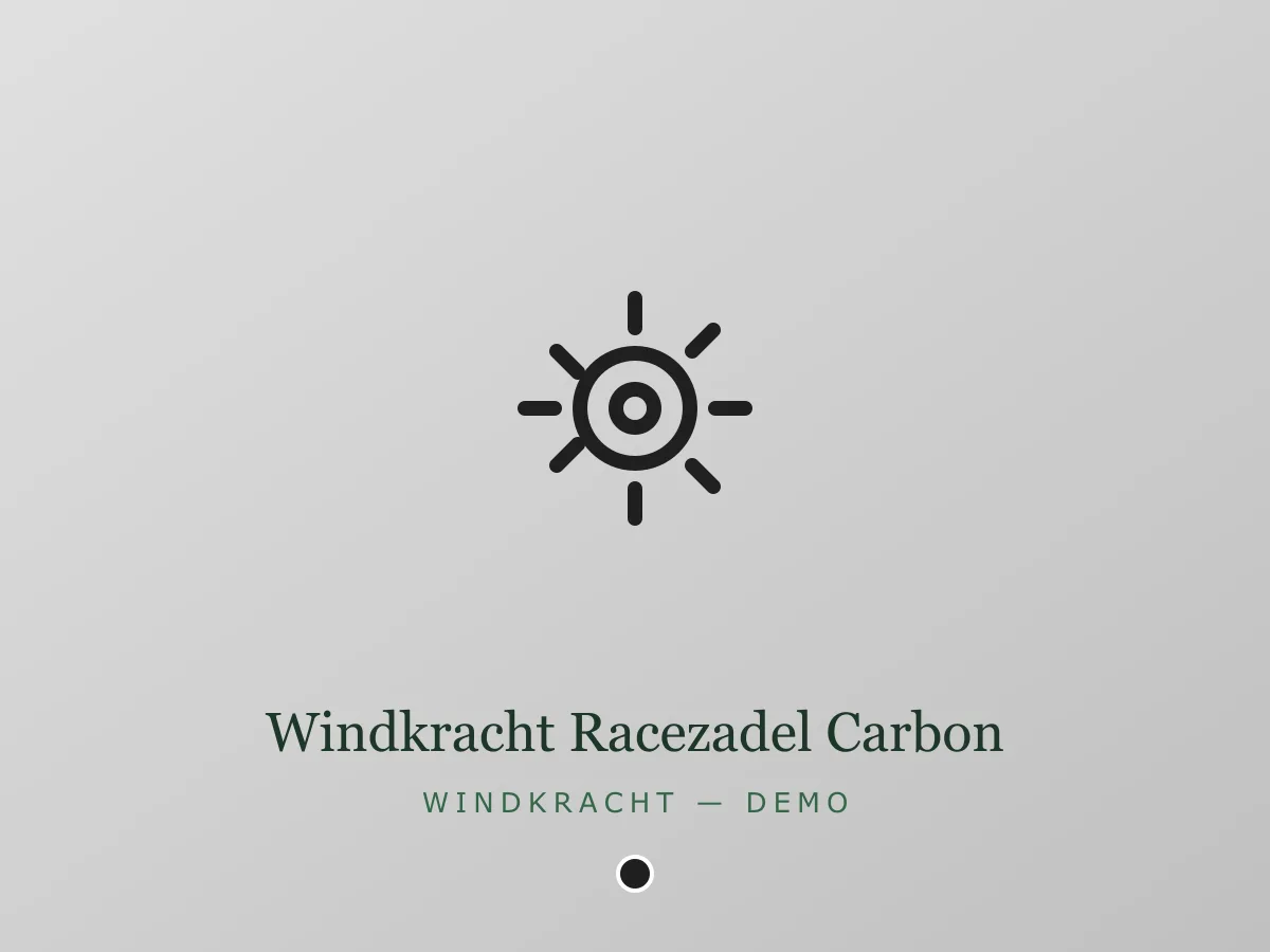 Windkracht Racezadel Carbon